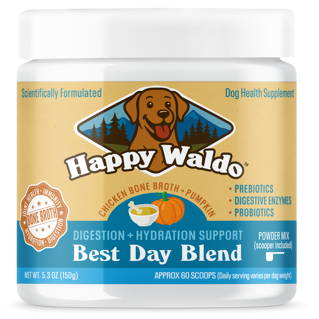 Best Day Blend - Digestive + Hydration Support Powder for Dogs (60 Scoops)