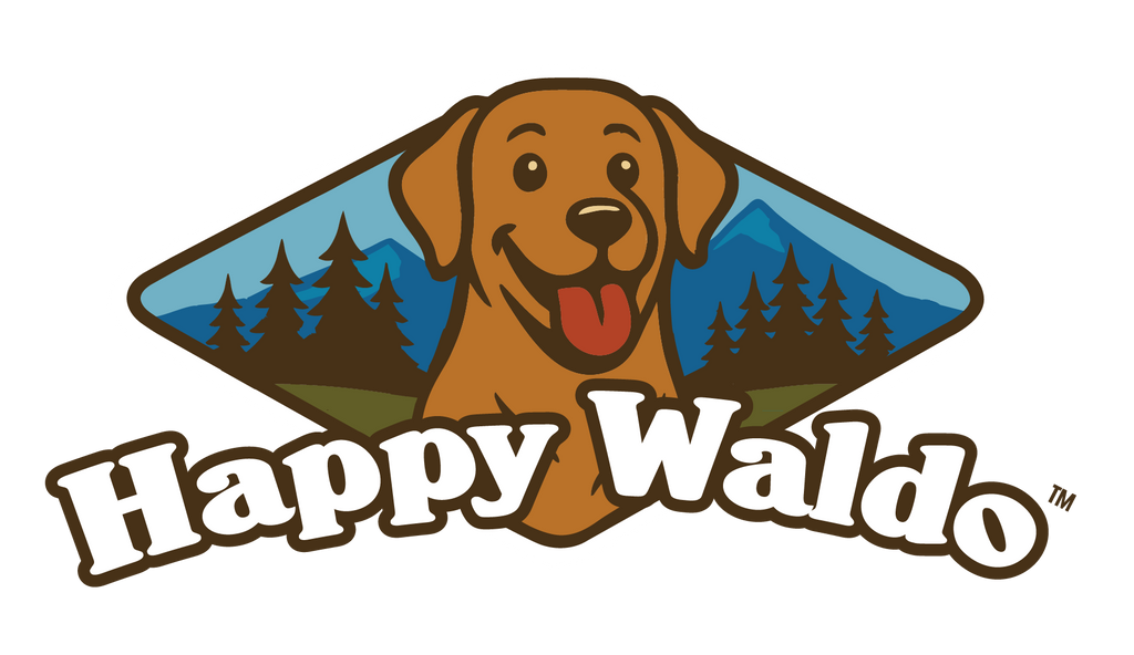 Best Day Blend - Digestive + Hydration Support Powder for Dogs (60 Scoops)