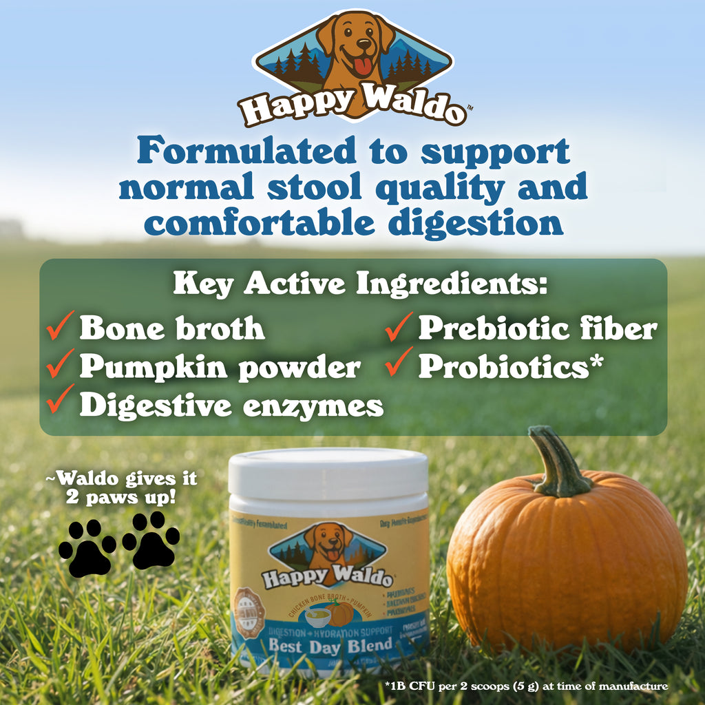 Best Day Blend - Digestive + Hydration Support Powder for Dogs (60 Scoops)