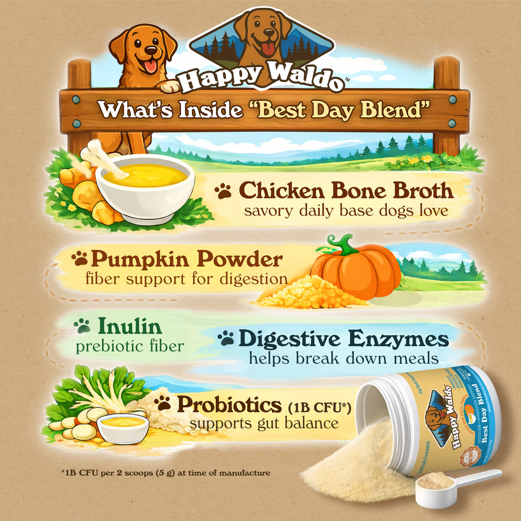 Best Day Blend - Digestive + Hydration Support Powder for Dogs (60 Scoops)